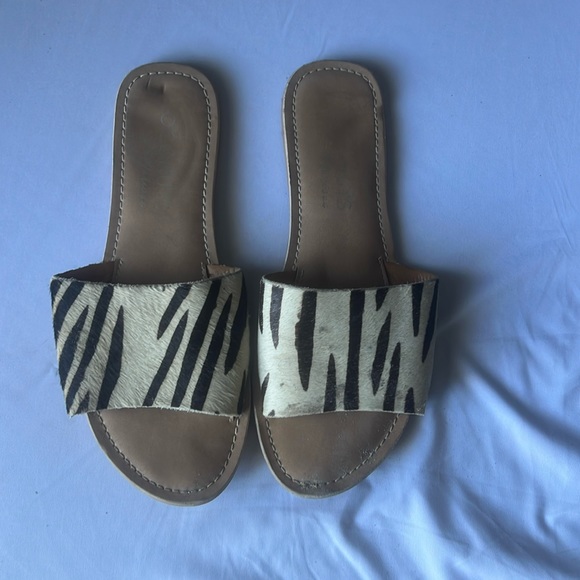 Coconuts by Matisse - Picture 1 of 2